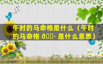 午时的马命格是什么（午时的马命格 🌷 是什么意思）